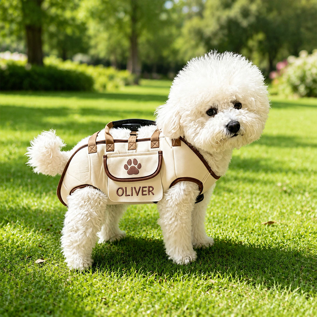 Portable, Breathable, Crossbody Pet Backpack