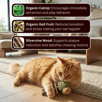 🐾Day Sale 50% OFF🐾-Catnip & Silvervine Chew