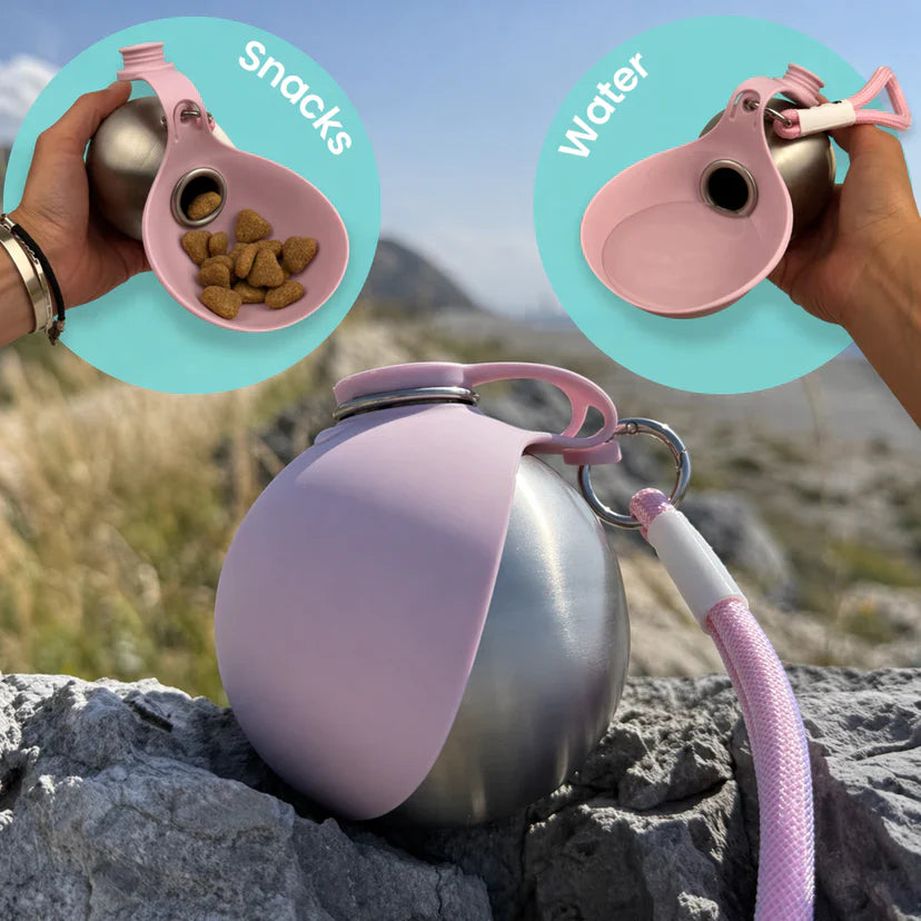 Insulated Stainless Steel Travel Dog Water Bottle & Bowl