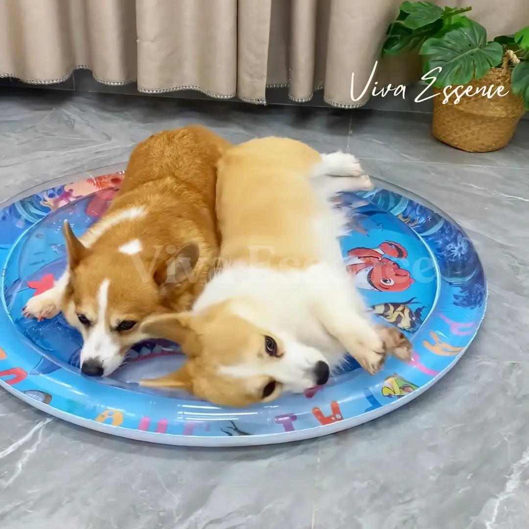 Paw Cool Oasis Dog Cooling Water Bed