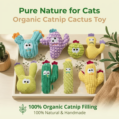 🔥Day Sale 50% OFF🐾Handmade Soft Cactus Kitten Chew Toys