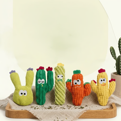 🔥Day Sale 50% OFF🐾Handmade Soft Cactus Kitten Chew Toys