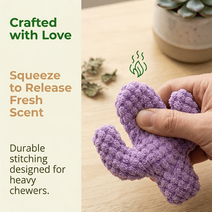 🔥Day Sale 50% OFF🐾Handmade Soft Cactus Kitten Chew Toys