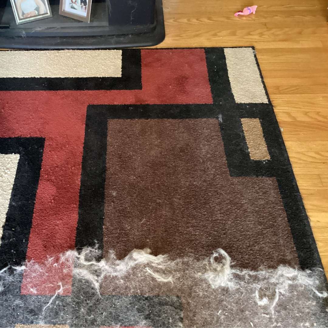 🐱🐶Static Pet Hair Clean Glove